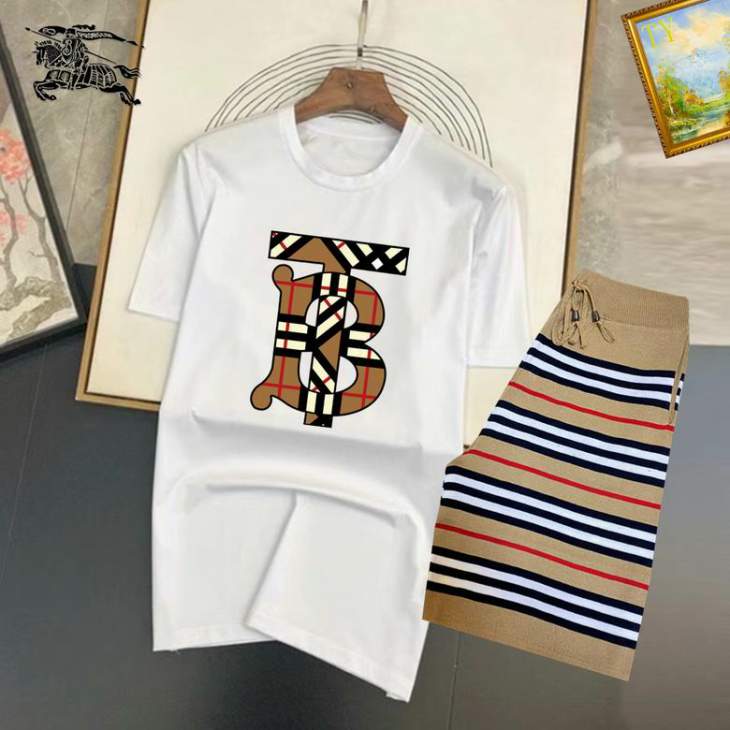 Picture of Burberry Shirt Pant Suits _SKUBurberryM-3XL25tn8520310